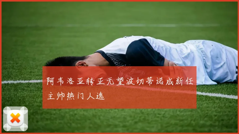 阿韦洛亚转正无望波切蒂诺成新任主帅热门人选
