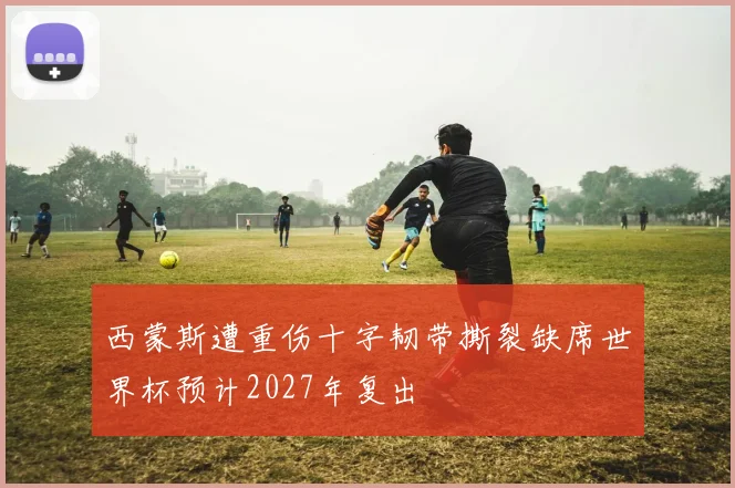 西蒙斯遭重伤十字韧带撕裂缺席世界杯预计2027年复出