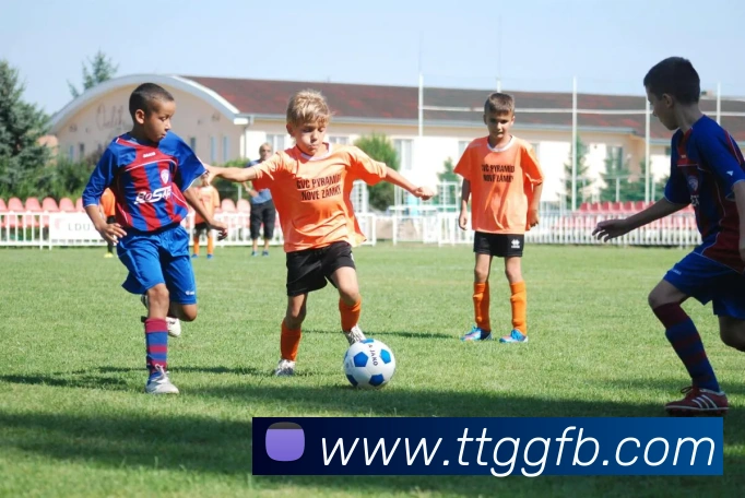 多媒体互动体验